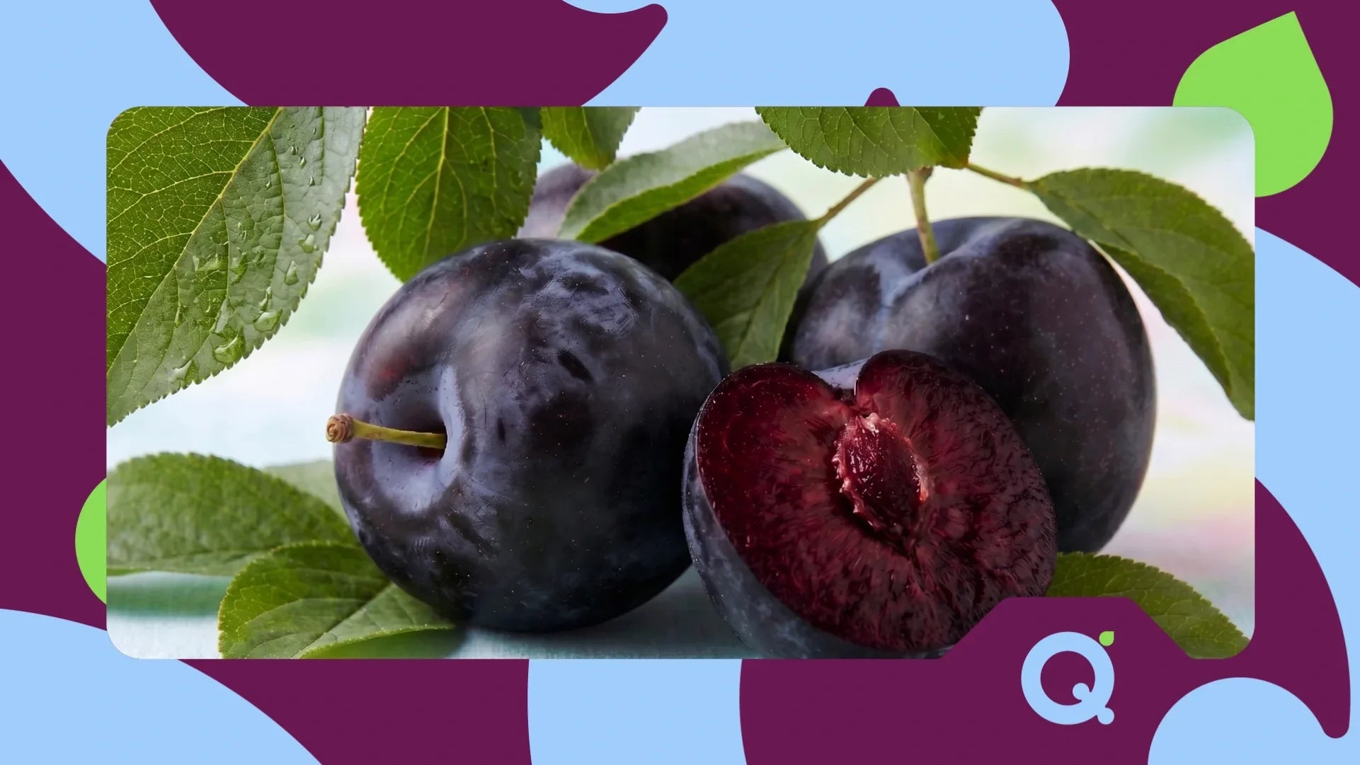 Cyanidin 3-Glucoside (C3G): The Anthocyanin Behind Queen Garnet
