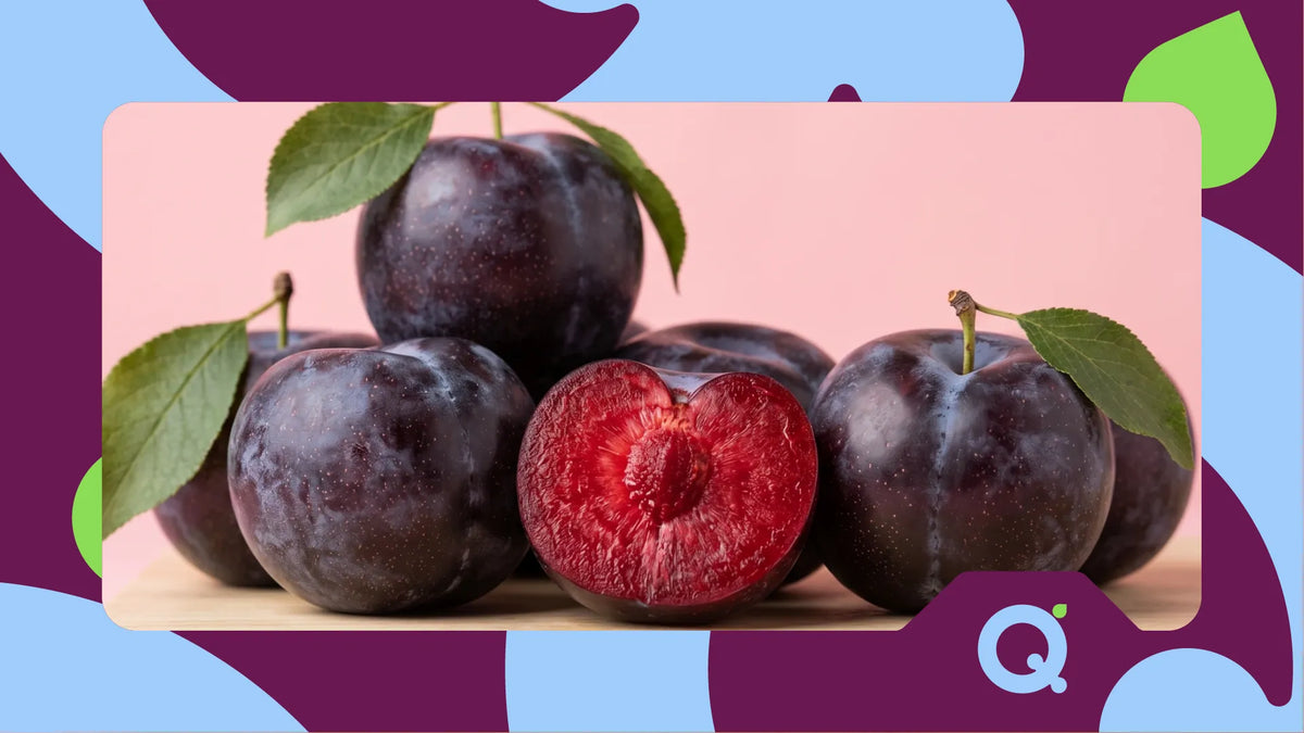 What Are the Health Benefits of Queen Garnet, and How Can It Be Incorporated Into My Diet?